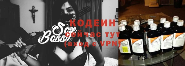 ПСИЛОЦИБИНОВЫЕ ГРИБЫ Горно-Алтайск