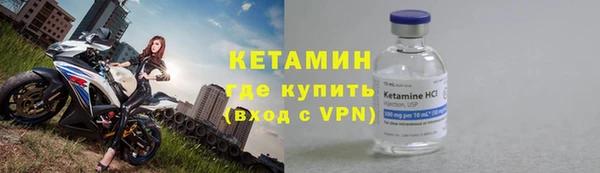 ПСИЛОЦИБИНОВЫЕ ГРИБЫ Горно-Алтайск
