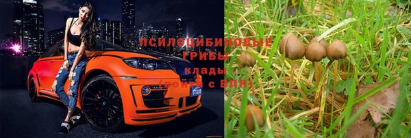 jwh Горнозаводск